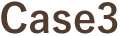 case3